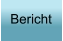 Bericht